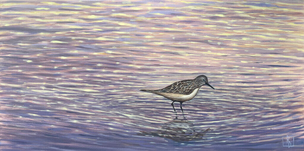 Sandpiper(web)
