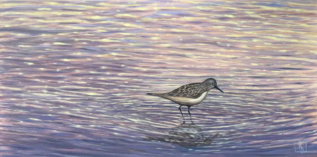 Sandpiper(web)
